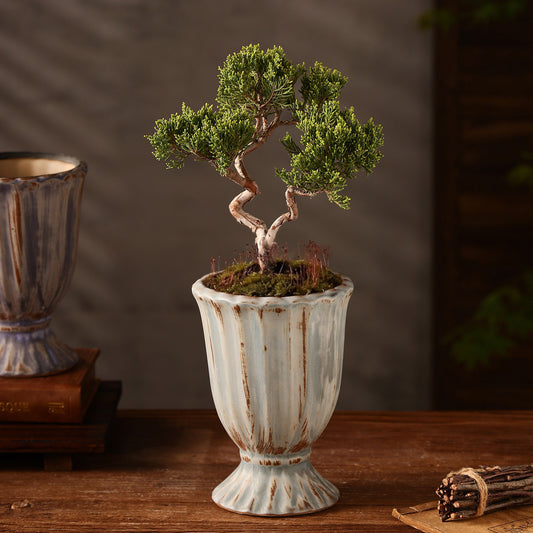 Handcrafted Zen Ceramic Planter