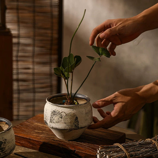 The Art of Bonsai and Moss Gardens: Creating a Peaceful Miniature Landscape