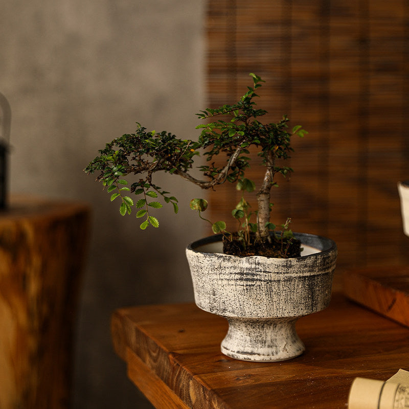 Handmade Rustic Ceramic Planter