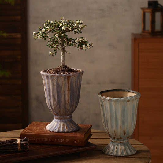Handcrafted Zen Ceramic Planter