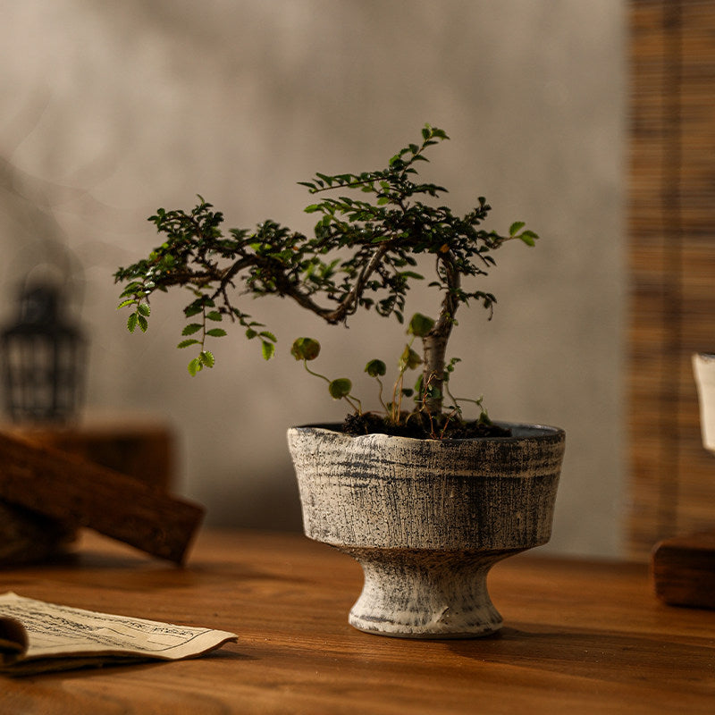 Handmade Rustic Ceramic Planter